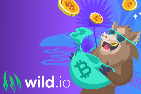 Meet Wild.io - the Newest Crypto Casino Sensation Is Here!