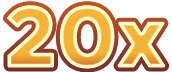 x20